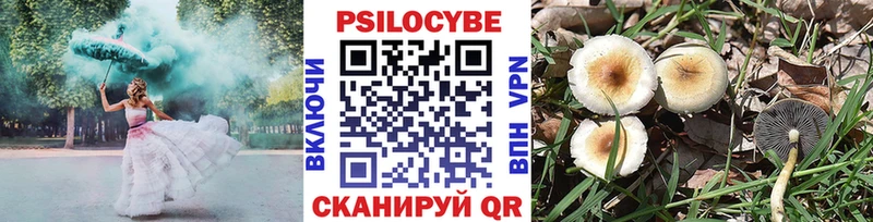 Галлюциногенные грибы Magic Shrooms  маркетплейс состав  Курганинск 