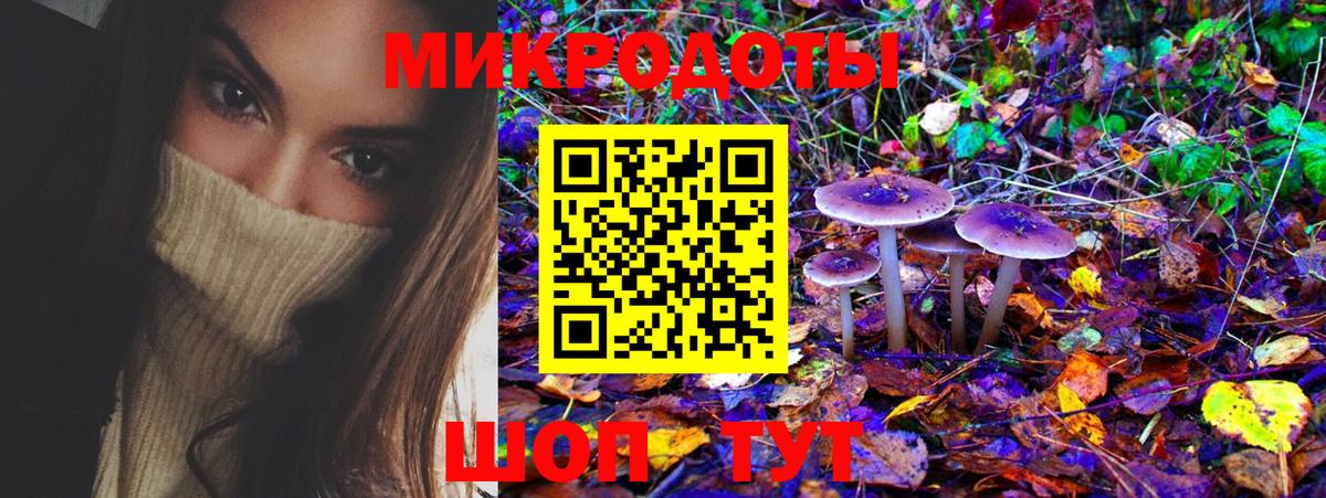 Псилоцибиновые грибы мицелий Курганинск