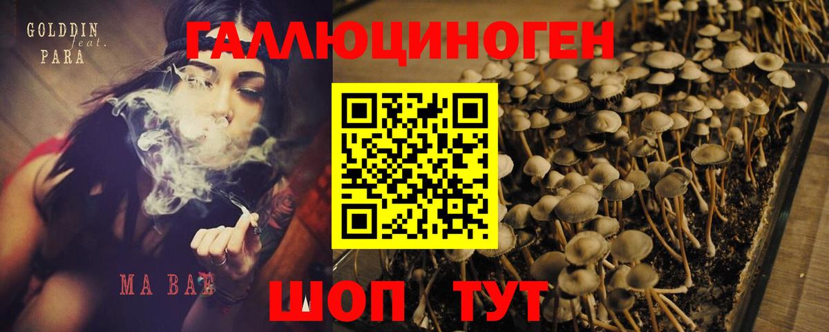 Курганинск  Галлюциногенные грибы мухоморы  Псилоцибиновые грибы ЛСД  Вход с VPN 