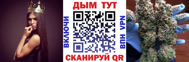 Бошки марихуана индика  Курганинск 